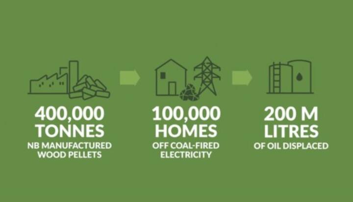 全球48%的木屑顆粒消費(fèi)來自住宅和商業(yè)建筑。從2020年到2021年，歐洲家庭生物質(zhì)消費(fèi)量增長了18%，商業(yè)應(yīng)用增長了12.5%。