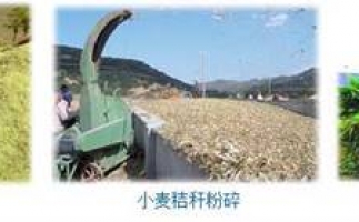 農(nóng)民科學(xué)發(fā)展新思路，秸稈綜合利用成為賺錢好門路之秸稈顆粒機(jī)