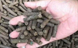 水果渣越來(lái)越受歡迎，因?yàn)樗某霈F(xiàn)—生物質(zhì)顆粒機(jī)設(shè)備