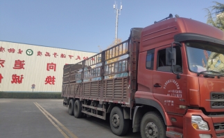 忙碌的五月，忙碌的發(fā)貨，金格瑞顆粒機(jī)生產(chǎn)線發(fā)往全國(guó)各地