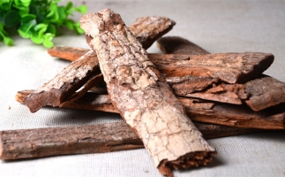 木材加工廠的廢棄物刨花能夠用來做什么？鋸末顆粒機(jī)告訴你