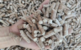 木材加工廠木屑堆積如山，環(huán)保部門令趕緊處理怎么辦？有它就夠了