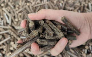 木屑燃料顆粒熱值多少大卡，完全取決于燃料的原料