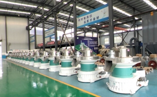 新手開顆粒廠，該選小型還是大型木屑顆粒機(jī)？